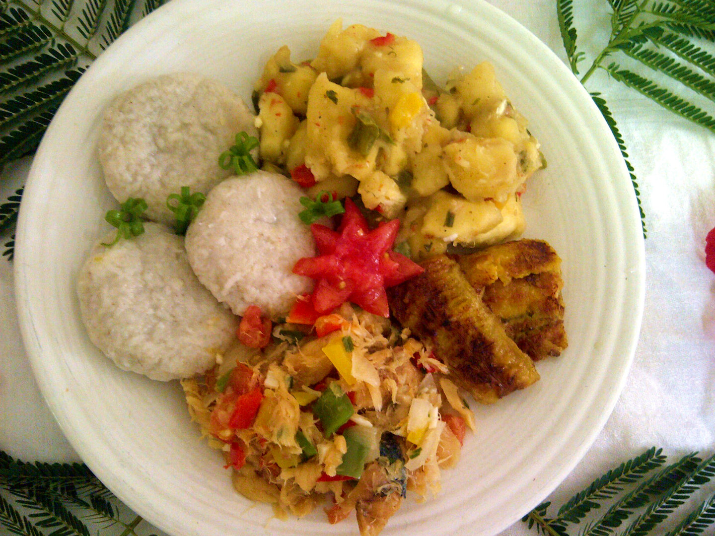 National Dish of St. Kitts and Nevis