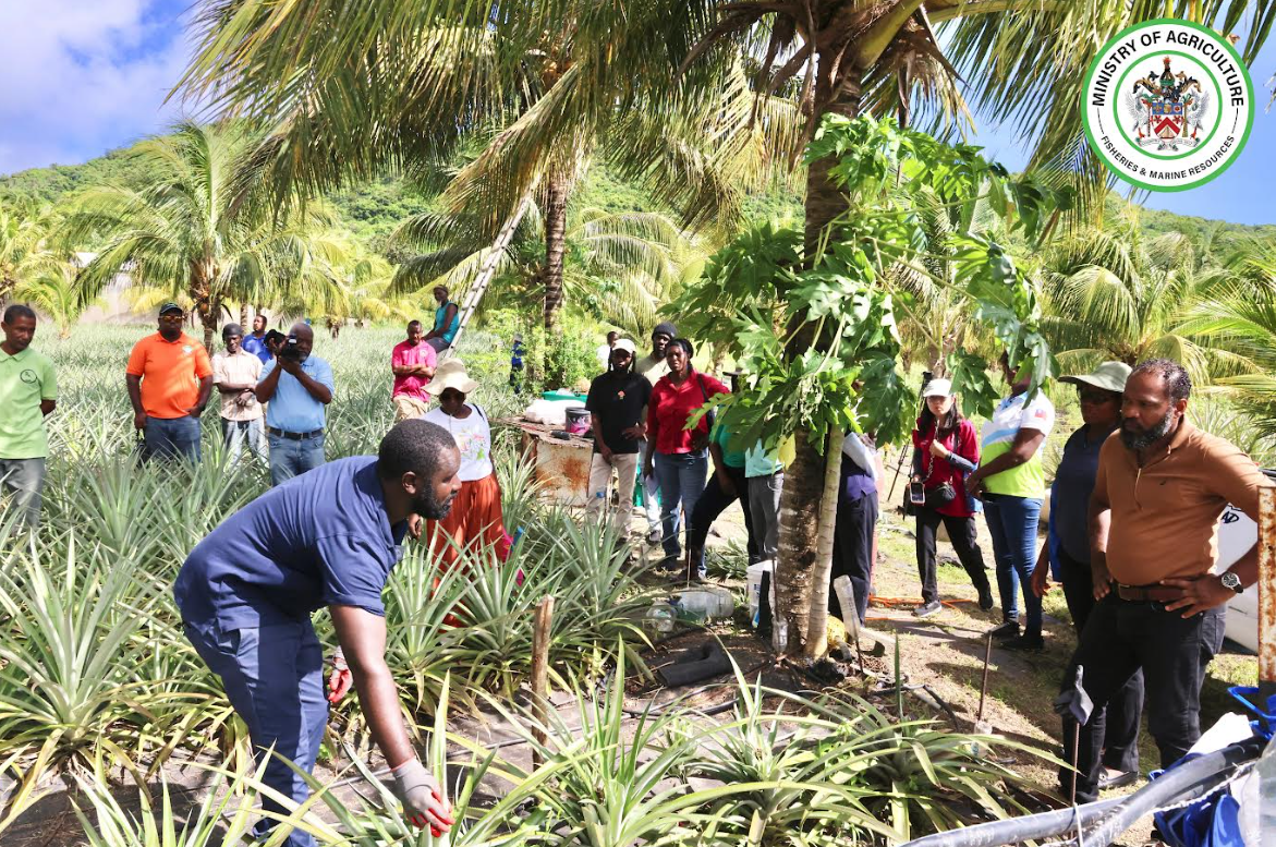 Your Environment and Food Security