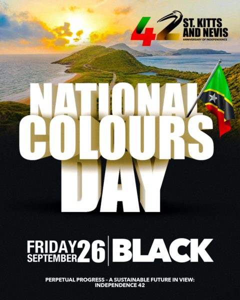 Independence 42 National Colors Day - Black